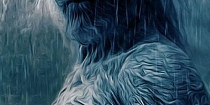 1080x1920 White Walkers Game of Thrones iPhone Wallpaper | 2019 3D iPhone