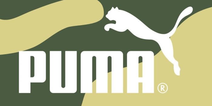 1080x1920 62+ Pumas Wallpapers on WallpaperPlay