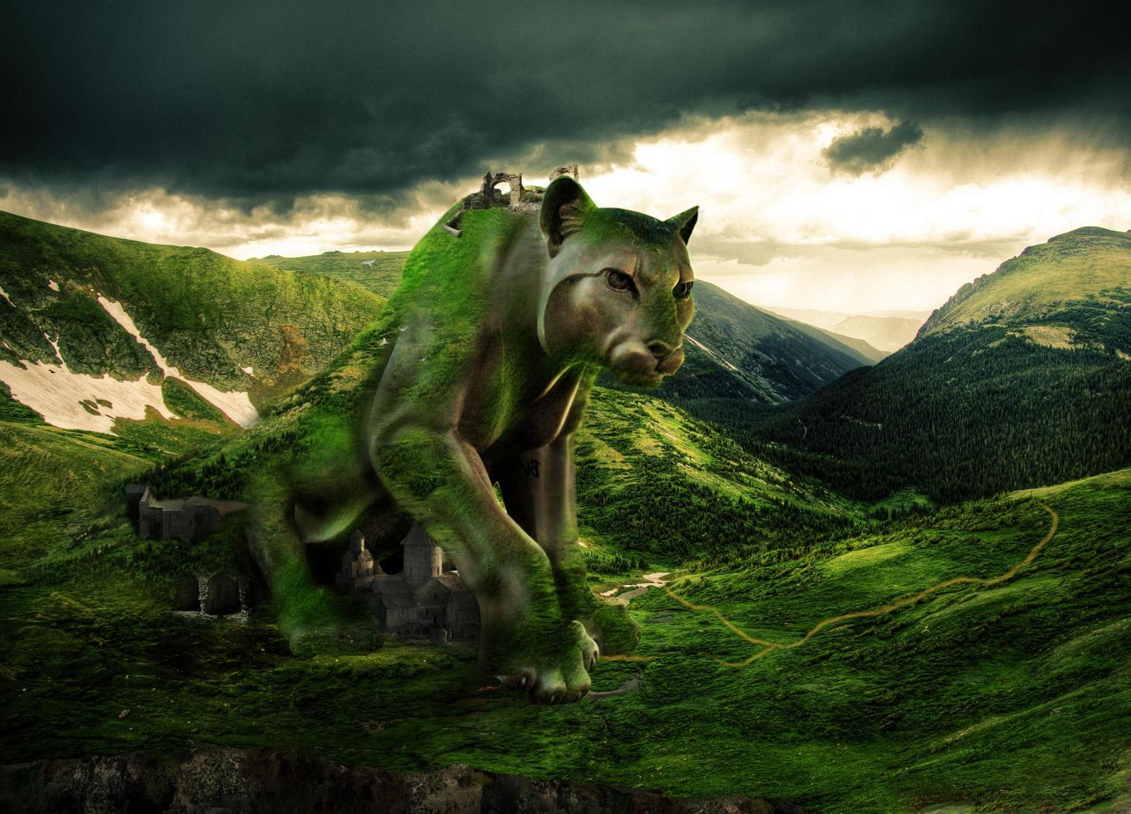 2500x1800 Download Puma Wallpaper (57+) - Free Wallpaper For your screen.