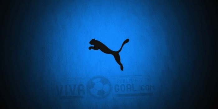 1023x818 47+] Puma Wallpaper HD on WallpaperSafari