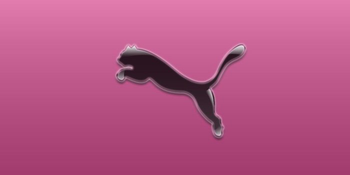 1024x768 47+] Puma Wallpaper HD on WallpaperSafari