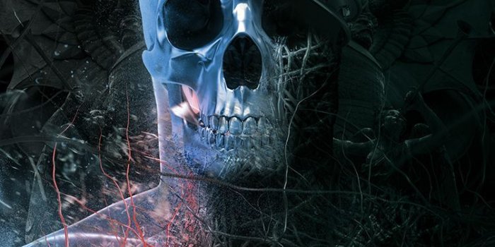 750x1121 Skull King Wallpapers - Top Free Skull King Backgrounds