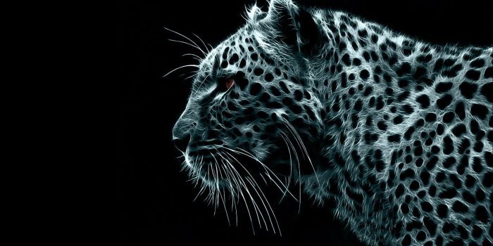 1920x1080 70+ Puma Wallpapers - Download at WallpaperBro