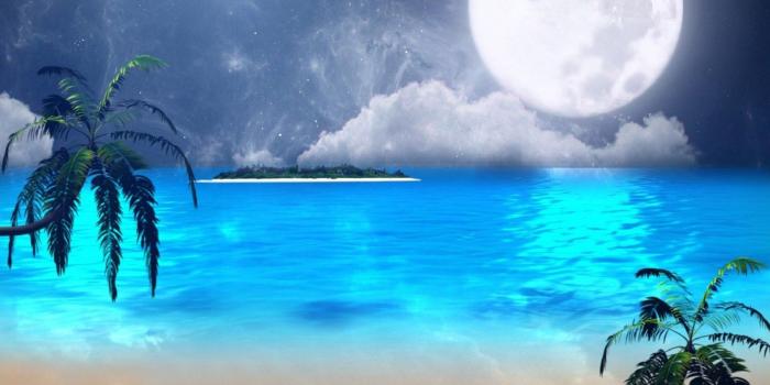 1920x1200 Full Moon on Tropical Night HD Wallpaper | Background Image