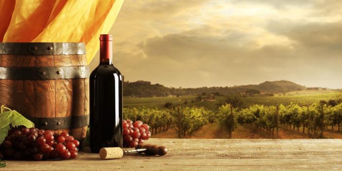 1920x1080 Wine Wallpapers - Top Free Wine Backgrounds - WallpaperAccess