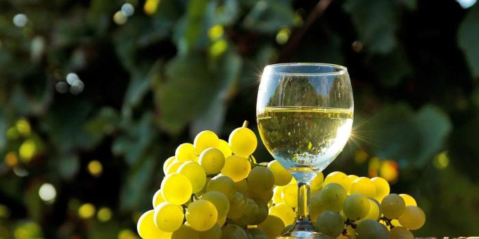 1280x800 Free download Grape and Wine Desktop Wallpaper 9 Cate Wallpapers