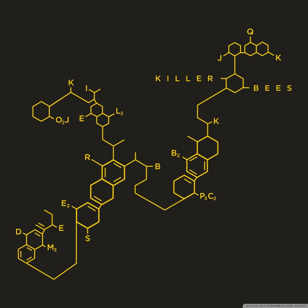 1024x1024 Killer Bee Wallpaper , (53+) image collections of wallpapers