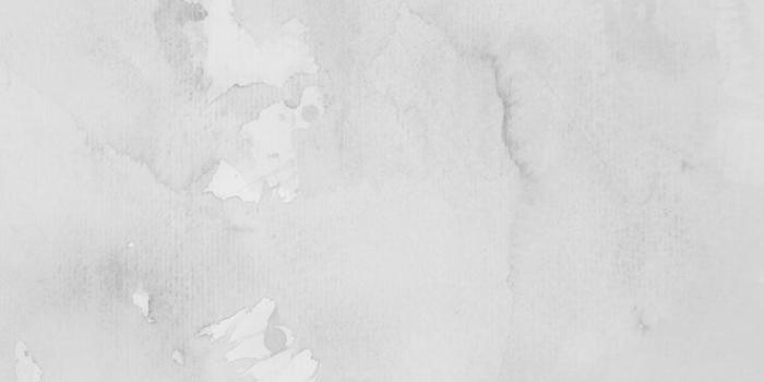736x1308 Grey wallpaper hd | Work | Iphone 7 plus wallpaper, Watercolor