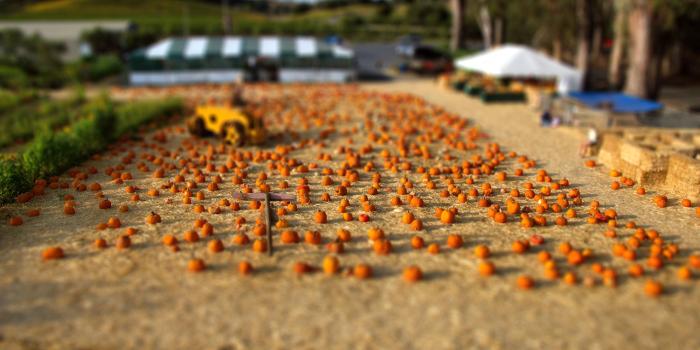 3028x2002 Best 52+ Shifting Wallpapers on HipWallpaper | Shifting Wallpapers