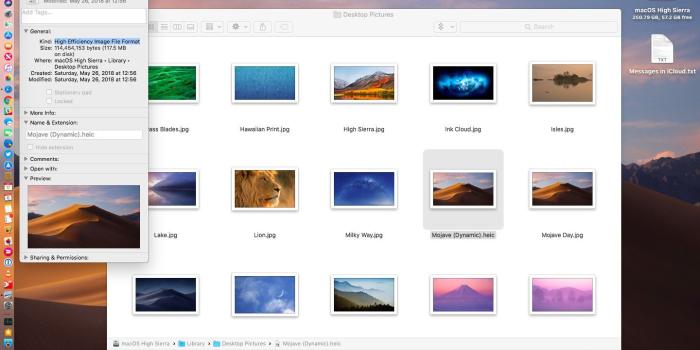 1440x900 macOS Mojave sports a time-shifting wallpaper that changes through