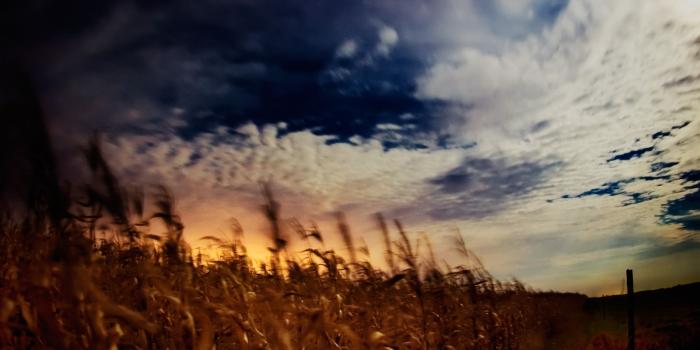 1600x1200 Download free desktop wallpaper - Shifting Pixel