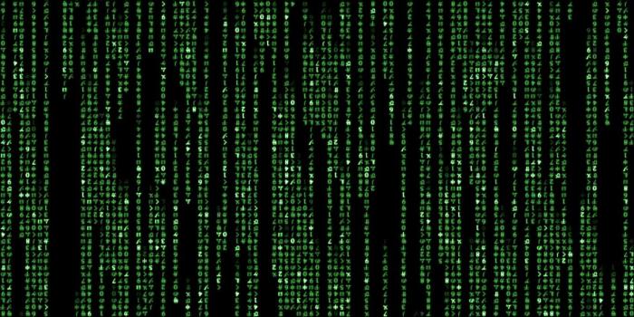 1920x1200 Matrix Wallpaper Animated | The Matrix in 2019 | Animated desktop