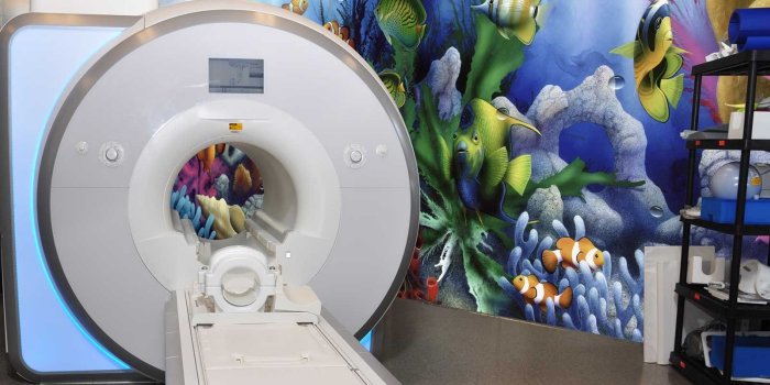 1700x800 Hospital Wall Murals | Wallpaper For Hospitals | Murals Your Way