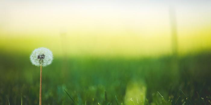 2583x1824 Tilt Shifting Lens Photography Image - PureIMG | Free Stock Image