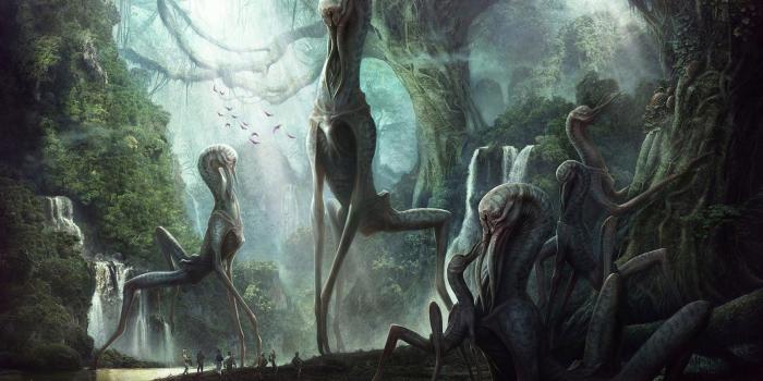 1600x974 My collection of wallpapers, OP delivers Part 1 - Album on Imgur