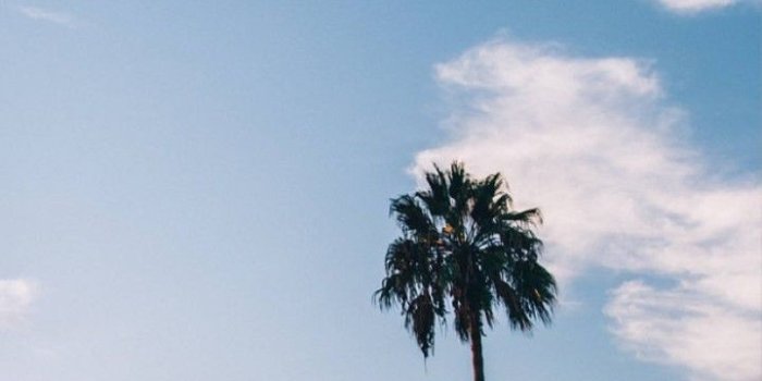 720x1280 It looks like the 90's to me 