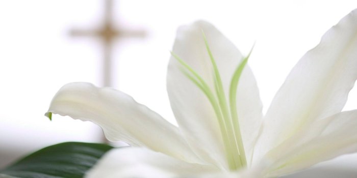 1920x1200 Religious Easter Wallpapers