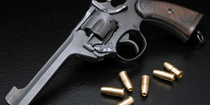 1024x768 Revolver Gun Wallpapers