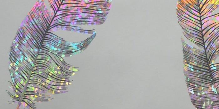 1000x1000 Arthouse Prism Feathers Holographic Foil Wallpaper Grey Multi Coloured  294803
