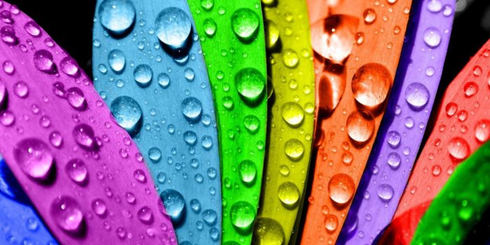 1440x1280 15 bright and colorful wallpapers for your Android device