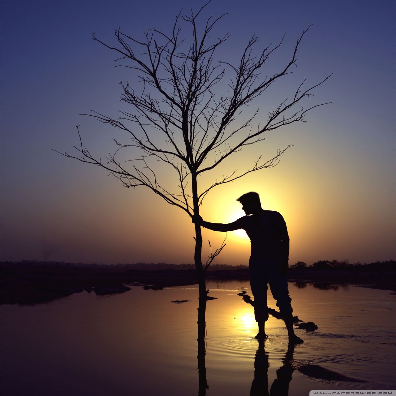 1280x1280 P Man 1001 ❤ 4K HD Desktop Wallpaper for • Tablet • Smartphone