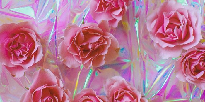 736x1104 Holographic-roses-wallpaper-wpt7205652 - wallpaper21.com