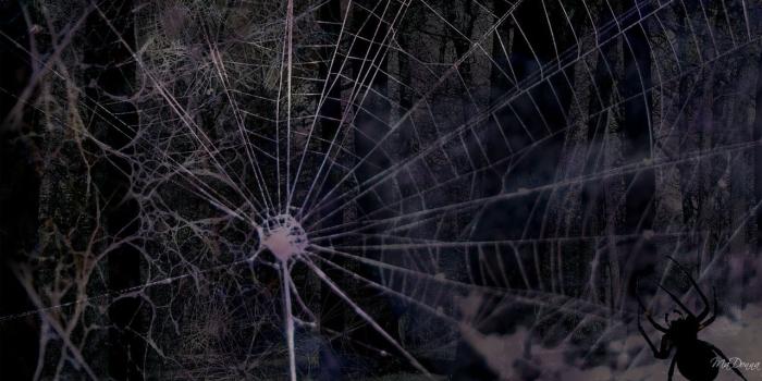 1280x720 Reebok wallpaper | 1920x1200 | #33976