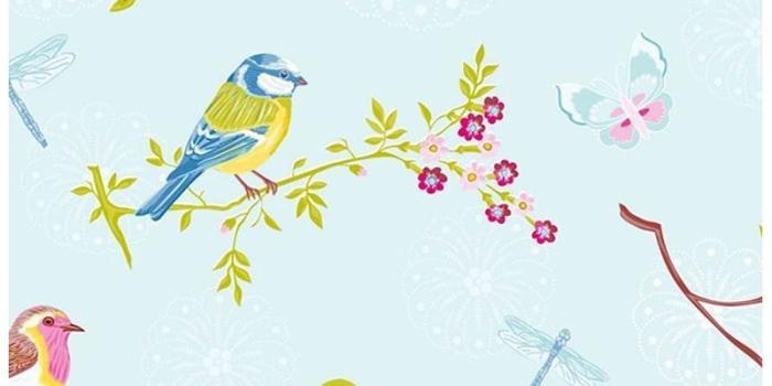 800x1200 Early Bird wallpaper light blue
