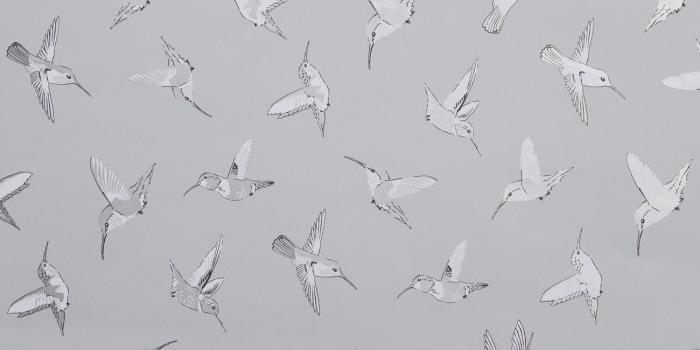 1300x1300 Hummingbird Oasis Designer Bird Wallpaper | Grey, Silver & White