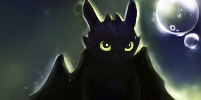 800x1280 Dragon Toothless Wallpaper New for Android - APK Download