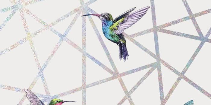 1000x1000 Details about Geometric Humming Bird Wallpaper Print Grey Modern Metallic  Loja Holden Decor