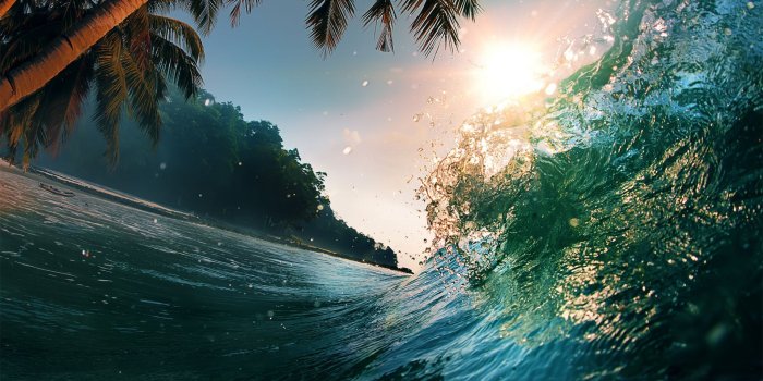 1920x1080 Wallpaper Wave, 5k, 4k wallpaper, 8k, ocean, palms, sun, Nature #5490