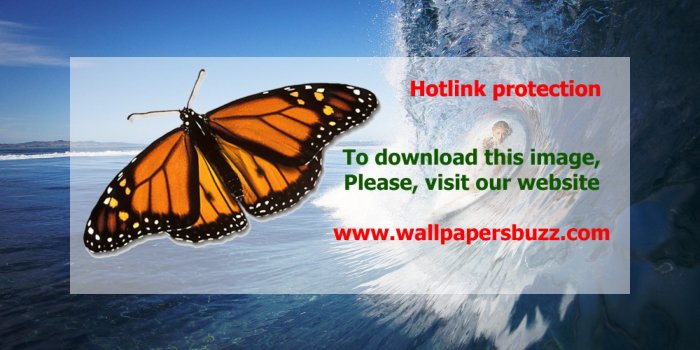 2880x1800 In a wave HD Wallpaper