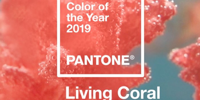 1125x2436 Graphics - Pantone Digital Wallpaper