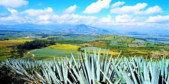 1280x800 Birrieria Jalisco
