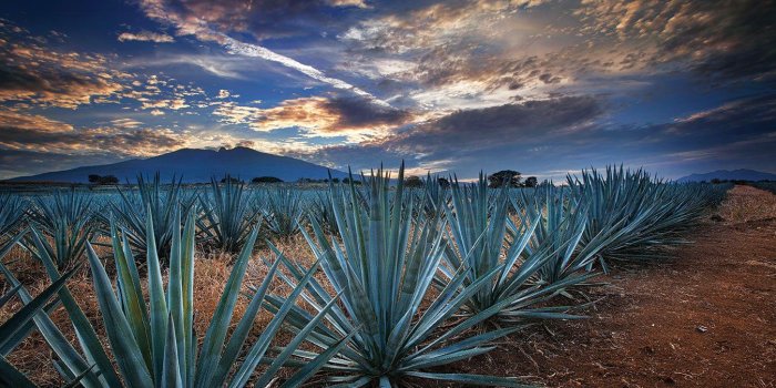 1348x899 Jalisco Wallpaper Guadalajara