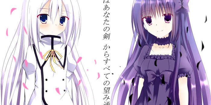 2800x1800 Terminus Est - Seirei Tsukai no Blade Dance - Zerochan Anime Image Board