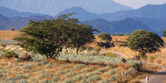 2048x1536 Tippling Down the Tequila Trail in Jalisco, Mexico - Condé Nast Traveler