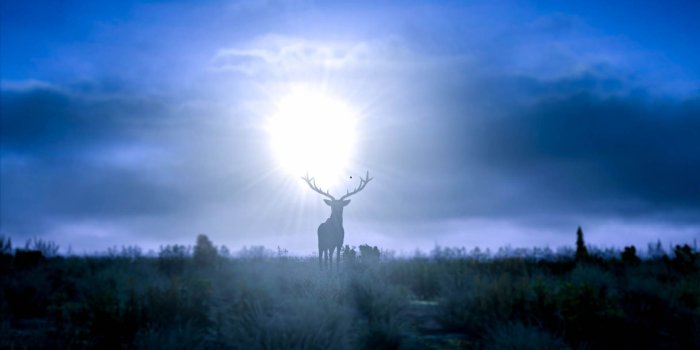 1920x1080 Wallpaper TERMINUS - Dayz TV