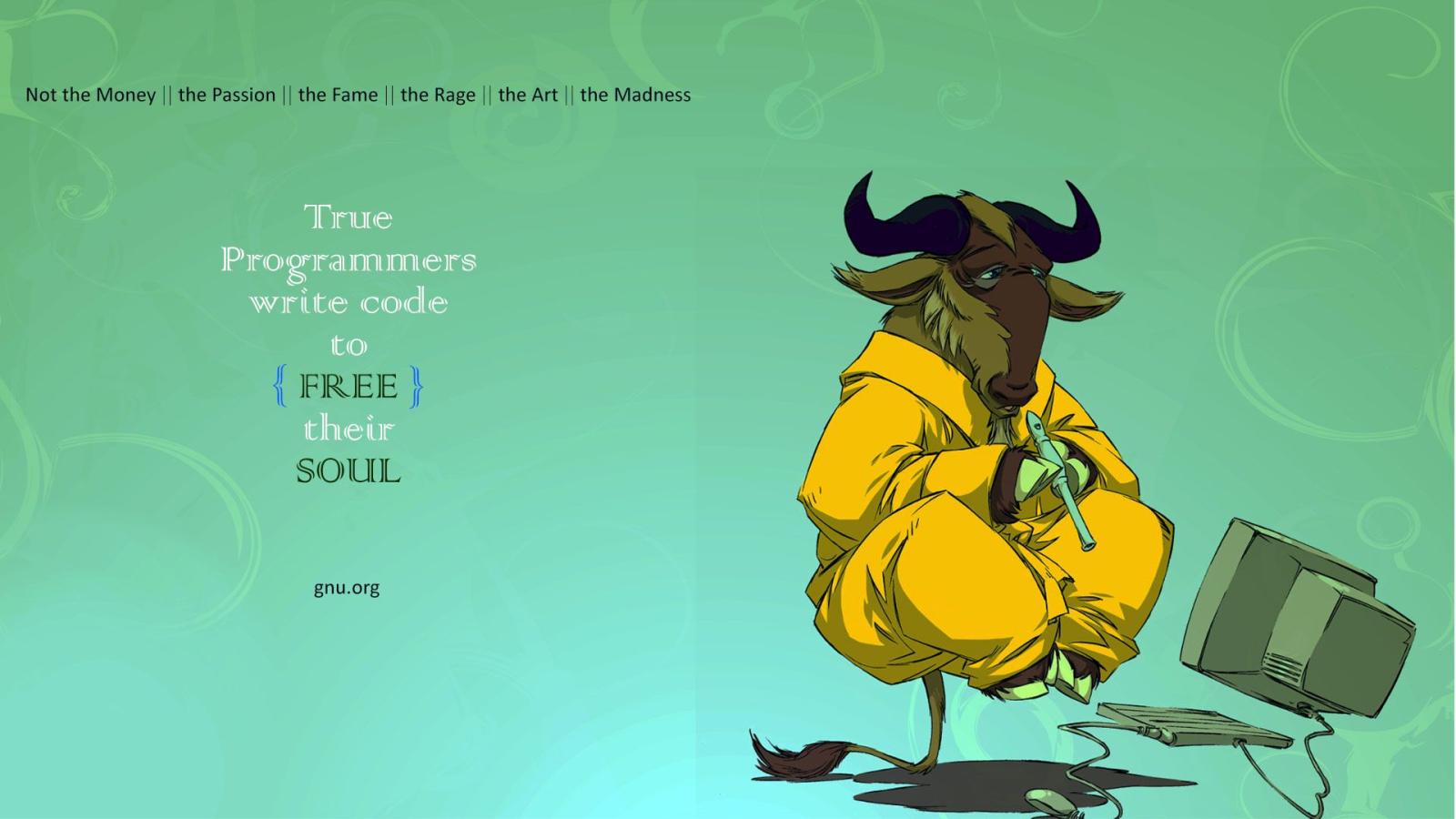 1920x1080 Free Your Soul wallpaper - GNU Project - Free Software Foundation