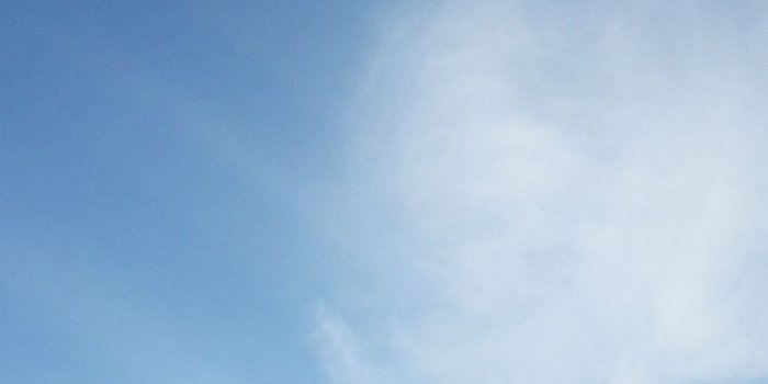 750x1334 Universal Phone Wallpapers/ Backgrounds White Ford GT Super Car