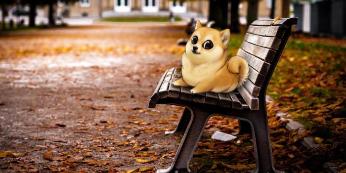 1920x1200 Cute Doggo on park bench wallpaper - Album on Imgur