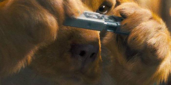 750x1334 50 HD Dog iPhone Wallpapers