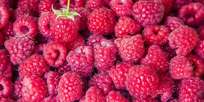 1332x850 Wallpaper raspberry, background, berry, background, berries