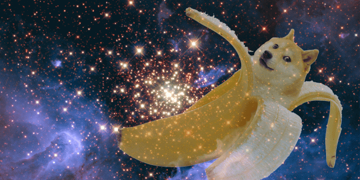 1920x1080 Bananoge Doge Wallpaper 1920x1080 41132 - Cute Doggo