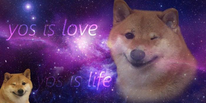 1200x675 yosdoggo hashtag on Twitter