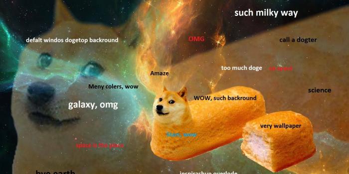 1680x1050 Windoge Wallpaper Words doge wallpaper - Cute Doggo