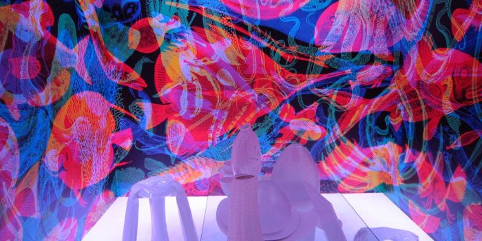 1200x900 carnovsky ::::::