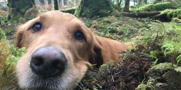 4032x3024 Ultra HD 4K Computer Background image 1809 byldpp5 High resolution