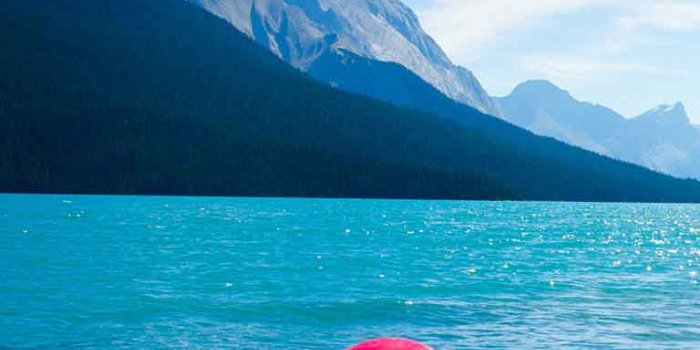 768x1366 wallpapers – Invision Sally Jobe